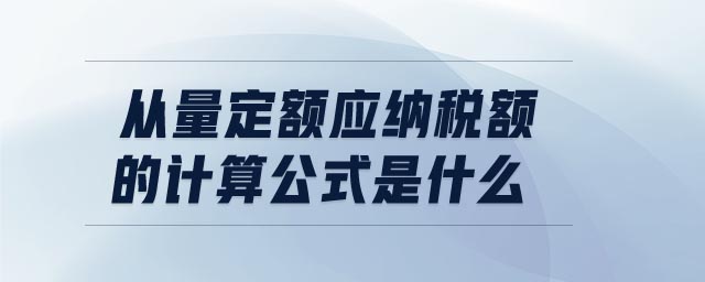 從量定額應(yīng)納稅額的計算公式是什么