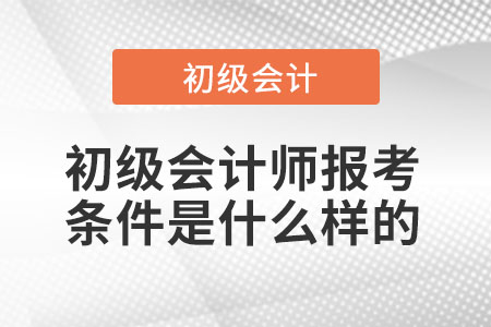 初級(jí)會(huì)計(jì)師報(bào)考條件是什么樣的