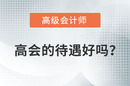 高級(jí)會(huì)計(jì)師的待遇好嗎？