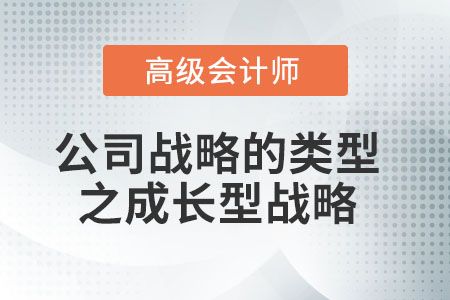 公司戰(zhàn)略的類型之成長型戰(zhàn)略