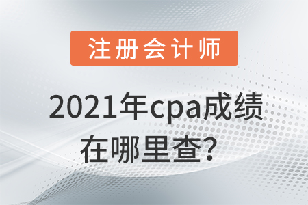 cpa查詢成績?nèi)ナ裁淳W(wǎng)站上查？