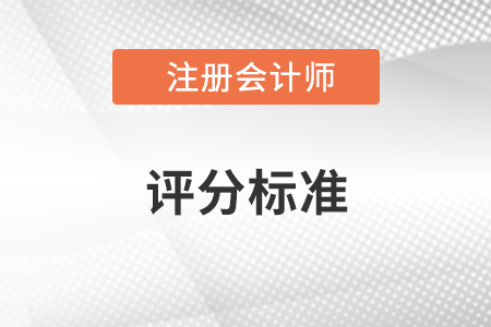 注會試題評分標準是什么？