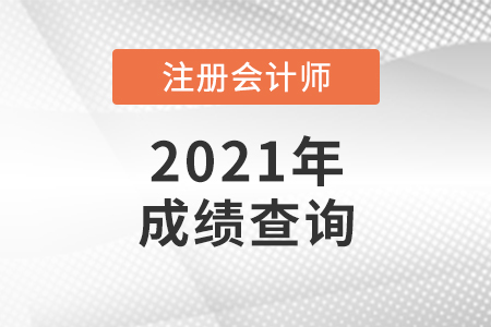 天津市濱海新區(qū)注冊(cè)會(huì)計(jì)師成績(jī)查詢?nèi)肟谑悄膫€(gè)
