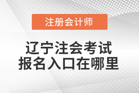 遼寧注會(huì)考試報(bào)名入口在哪里