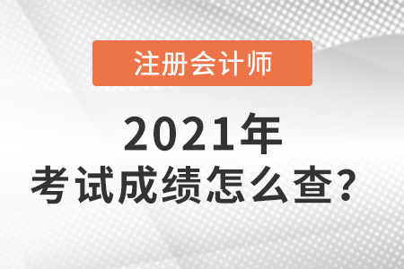 注冊會計師考試成績怎么查