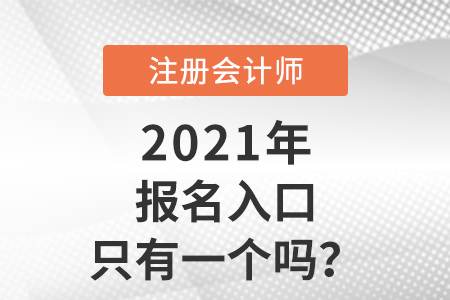 cpa考試報(bào)名入口只有一個(gè)嗎