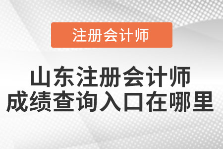 山東省棗莊注冊(cè)會(huì)計(jì)師成績(jī)查詢?nèi)肟谠谀睦? alt=
