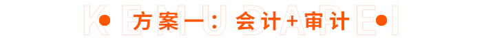 方案一：會(huì)計(jì)+審計(jì)