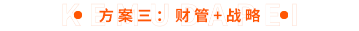方案三：財(cái)管+戰(zhàn)略