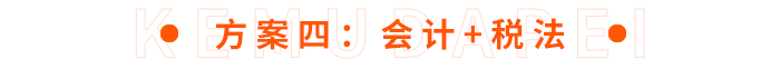 方案四：會(huì)計(jì)+稅法