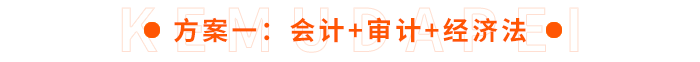 方案一：會計+審計+經(jīng)濟(jì)法