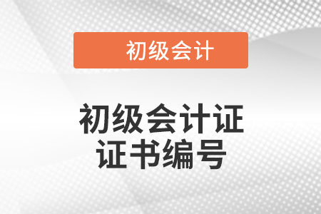 初級(jí)會(huì)計(jì)證的證書(shū)編號(hào)是哪個(gè)？