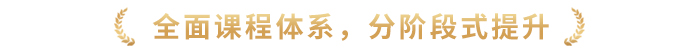 全面課程體系，分階段式提升