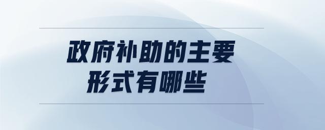 政府補(bǔ)助的主要形式有哪些