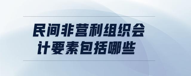民間非營(yíng)利組織會(huì)計(jì)要素包括哪些