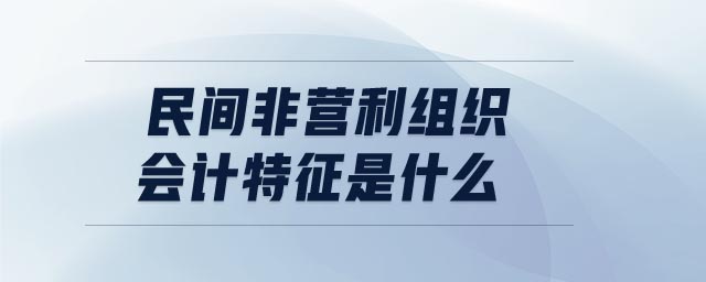 民間非營利組織會計特征是什么