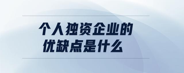 個人獨資企業(yè)的優(yōu)缺點是什么