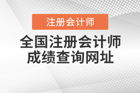 全國(guó)注冊(cè)會(huì)計(jì)師成績(jī)查詢網(wǎng)址