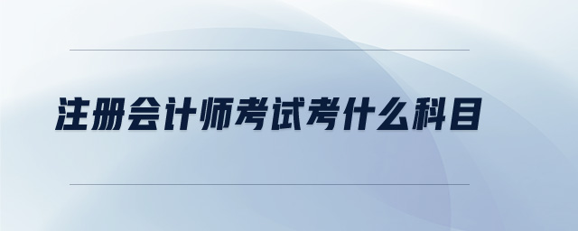 注冊會計師考試考什么科目