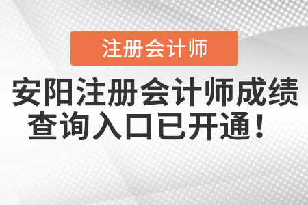 安陽(yáng)注冊(cè)會(huì)計(jì)師成績(jī)查詢(xún)?nèi)肟谝验_(kāi)通！