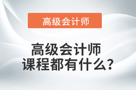高級會計(jì)師課程都有什么？