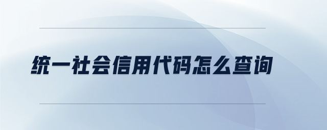 統(tǒng)一社會信用代碼怎么查詢