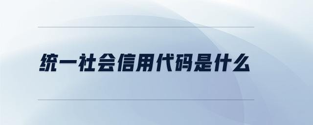 統(tǒng)一社會信用代碼是什么