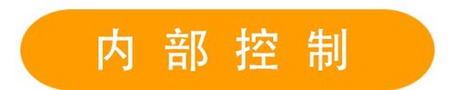 內(nèi)部控制 (2)