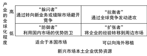 新興市場的企業(yè)戰(zhàn)略