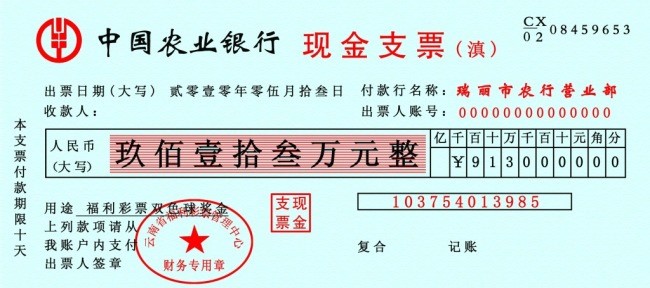 支票-現(xiàn)金支票