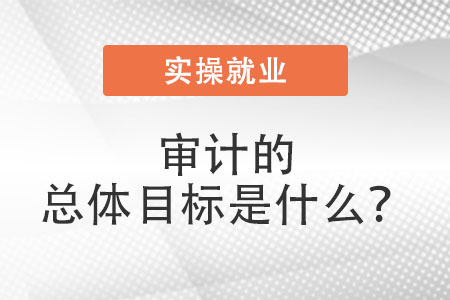 審計總體目標(biāo)