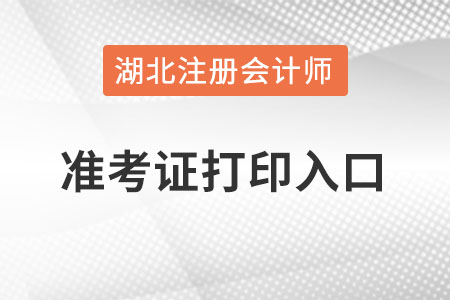 湖北省潛江市注冊會計師準考證打印入口怎么進？