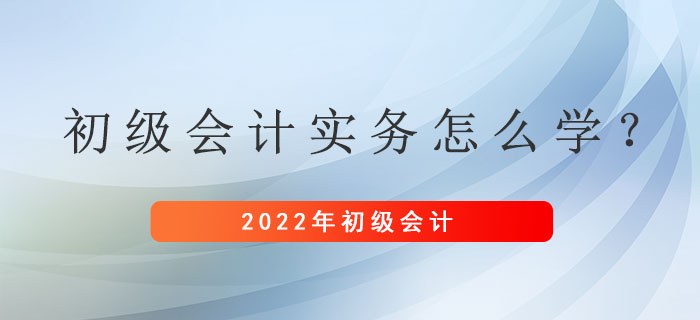 距離初級(jí)會(huì)計(jì)考試還剩兩個(gè)月左右，初級(jí)會(huì)計(jì)實(shí)務(wù)應(yīng)該怎么學(xué)？