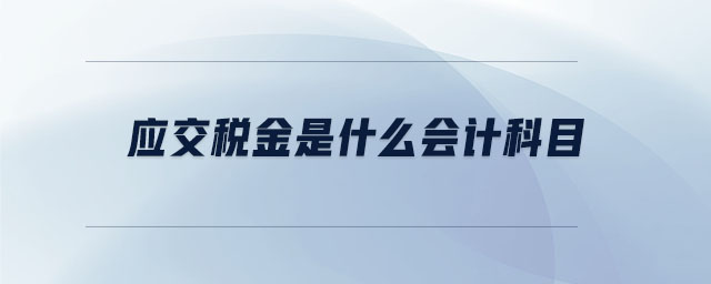 應(yīng)交稅金是什么會計科目