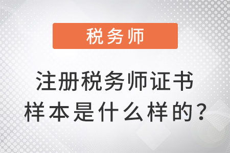 注冊稅務(wù)師證書樣本是什么樣的？