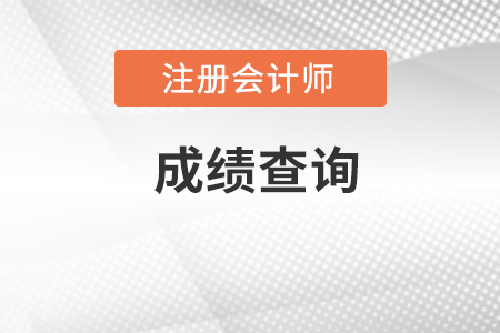 cpa成績(jī)查詢?nèi)肟诠倬W(wǎng)在哪里？