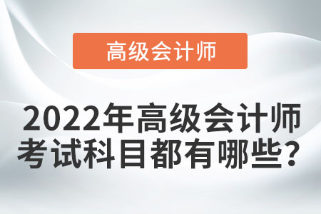 高級(jí)會(huì)計(jì)師考試科目?jī)?nèi)容都有什么？
