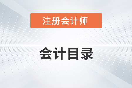 注冊會計師會計目錄2022年有變化嗎？