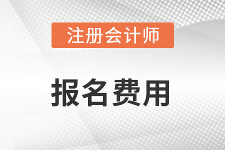 注冊會計(jì)師報(bào)名費(fèi)用有變化嗎?