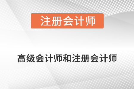 高級(jí)會(huì)計(jì)師注冊(cè)會(huì)計(jì)師的區(qū)別是什么?