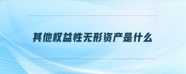 其他權(quán)益性無(wú)形資產(chǎn)是什么