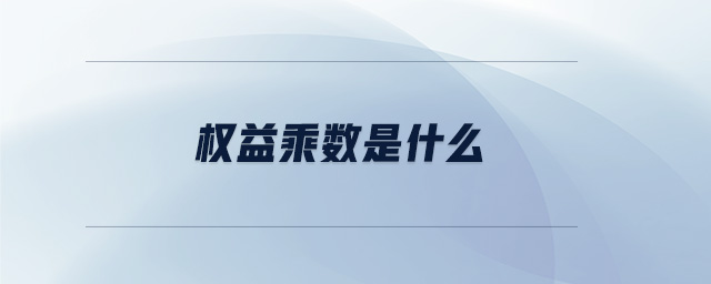 權(quán)益乘數(shù)是什么