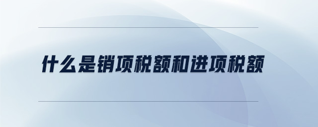 什么是銷項(xiàng)稅額和進(jìn)項(xiàng)稅額