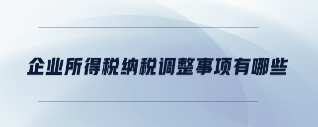 企業(yè)所得稅納稅調整事項有哪些