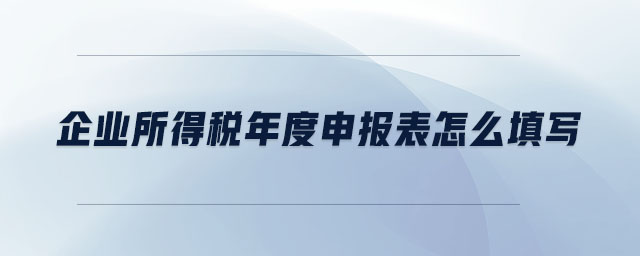 企業(yè)所得稅年度申報(bào)表怎么填寫