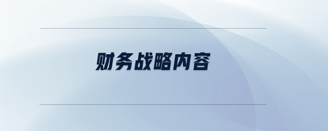 財務(wù)戰(zhàn)略內(nèi)容