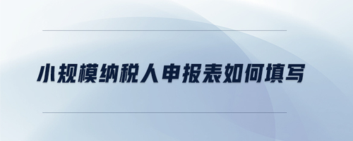 小規(guī)模納稅人申報(bào)表如何填寫(xiě)