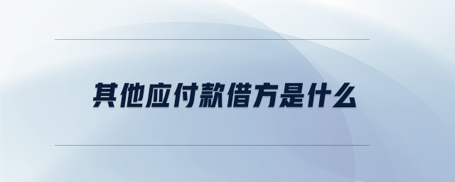 其他應付款借方是什么