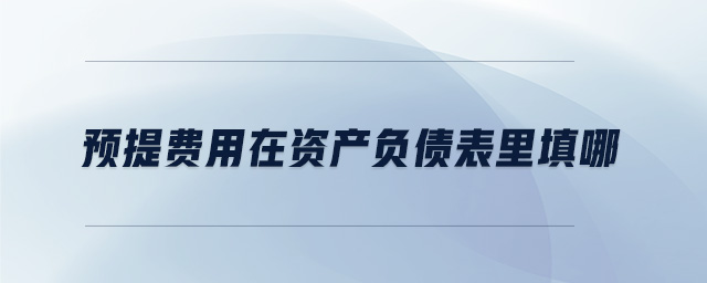 預(yù)提費用在資產(chǎn)負債表里填哪