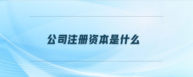 公司注冊資本是什么